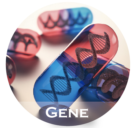 居禮股份有限公司 肝功能檢測 喚肝20® 一般生化檢測 肝臟疾病診斷 遺傳基因檢測 癌症適合藥物檢測 癌症癒後監控 人類乳突病毒檢測 臨床研究機構 細胞培養基添加物 臨床品管液 醫學檢驗服務 精準醫學服務 製造、銷售血液產品